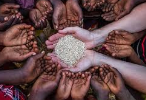The Impact of Inflation on Global Food Security